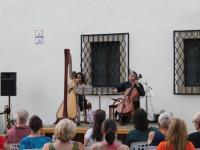 Img 7513