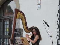 Img 7525