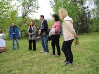 Img 4858