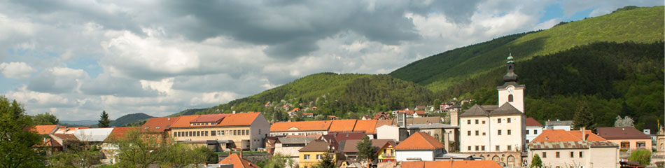 Panorama of town